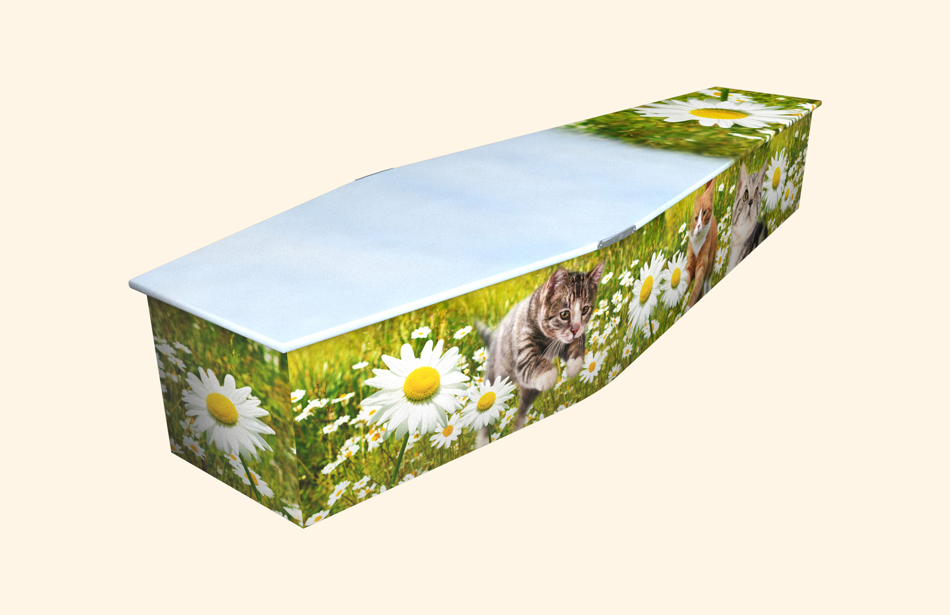 Purrfect Daisy design on a traditional coffin